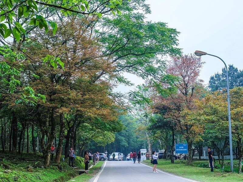 Ba Vì là điểm thu hút nhiều bạn trẻ vào dịp cuối tuần Ba Vì là điểm thu hút nhiều bạn trẻ vào dịp cuối tuần