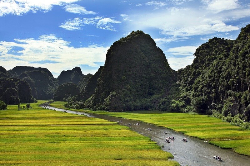 Ninh Bình với thảm lúa vàng rực Ninh Bình với thảm lúa vàng rực