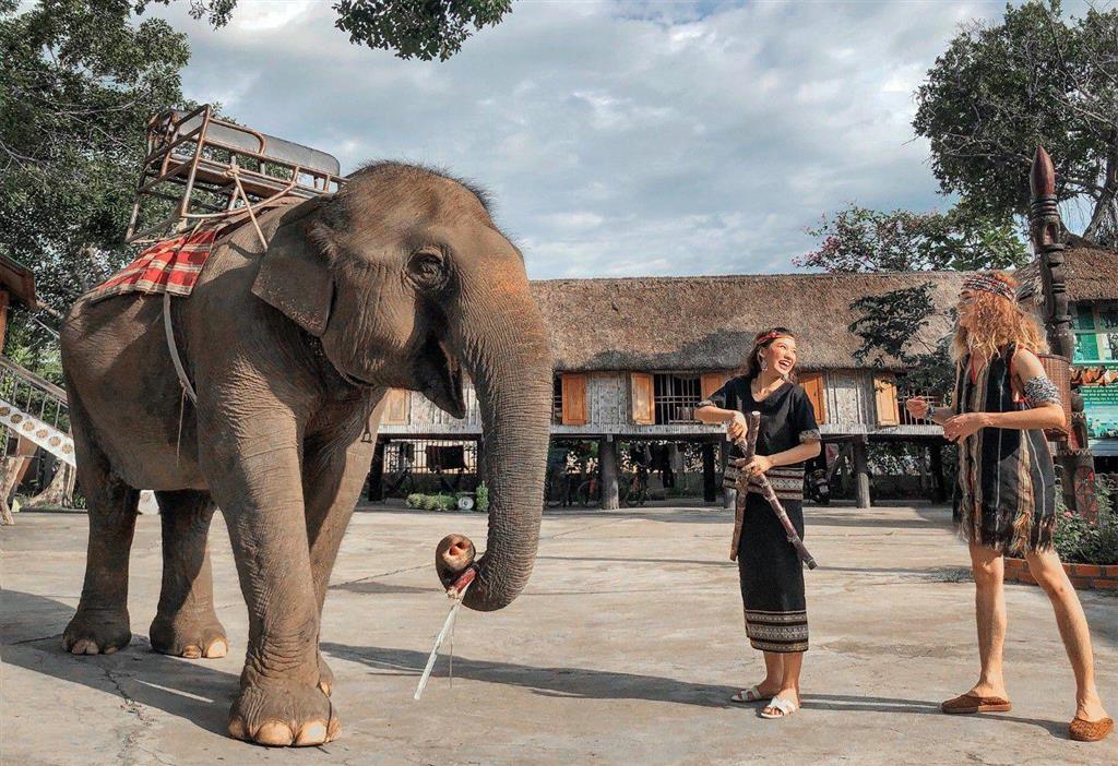 Buôn Đôn gắn liền với hình ảnh những chú voi vô cùng thân thiện Buôn Đôn gắn liền với hình ảnh những chú voi vô cùng thân thiện
