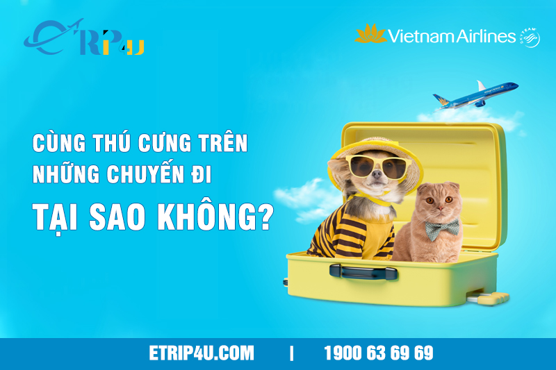 Dịch vụ vận chuyển động vật cảnh theo hành lý ký gửi từ Vietnam Airlines Dịch vụ vận chuyển động vật cảnh theo hành lý ký gửi từ Vietnam Airlines