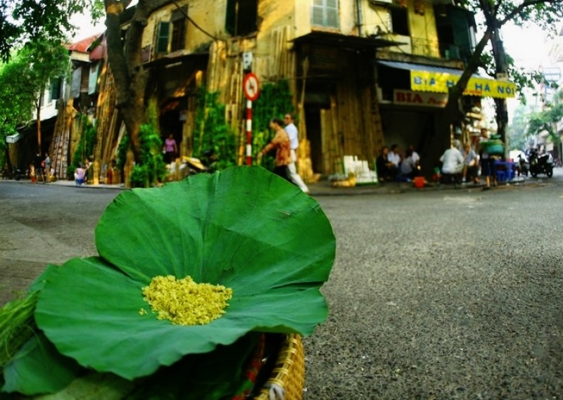 phố cổ hà nội