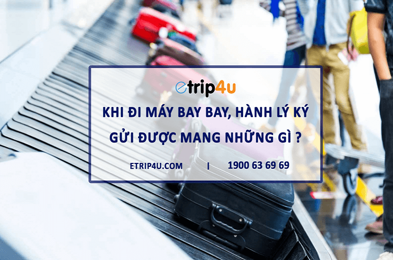 Khi đi máy bay bay, hành lý ký gửi được mang những gì ? Khi đi máy bay bay, hành lý ký gửi được mang những gì ?