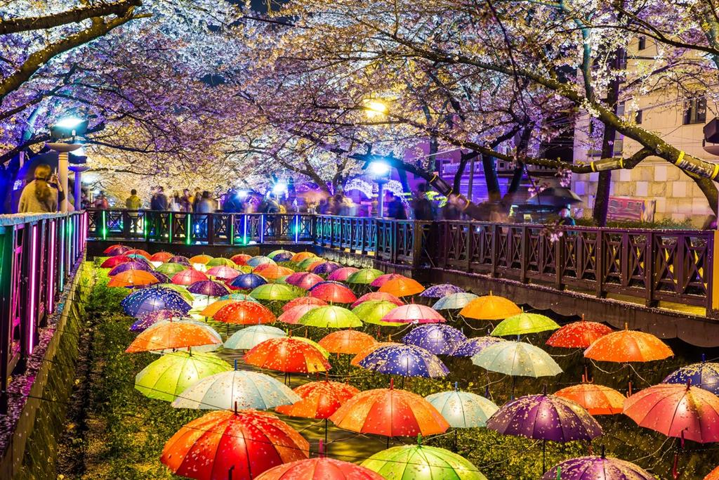 Lễ hội mùa xuân tại Seoul Lễ hội mùa xuân tại Seoul