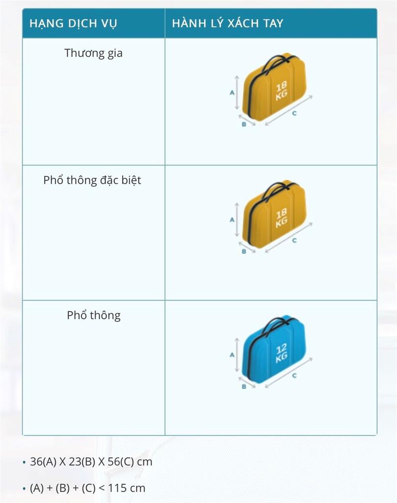 Quy định hành lý xách tay Vietnam Airlines Quy định hành lý xách tay Vietnam Airlines