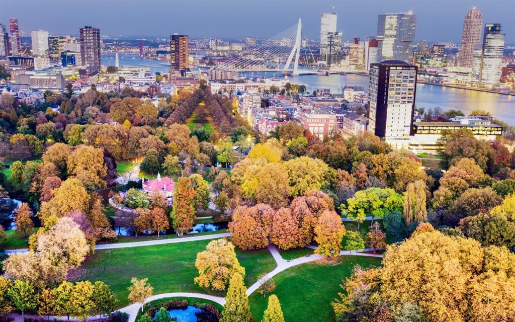 Rotterdam là một thành phố hoa lệ Rotterdam là một thành phố hoa lệ