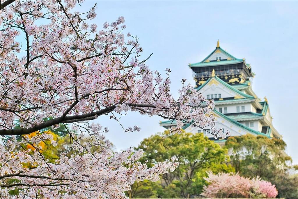 Tìm hiểu về sân bay tại Tokyo Tìm hiểu về sân bay tại Tokyo