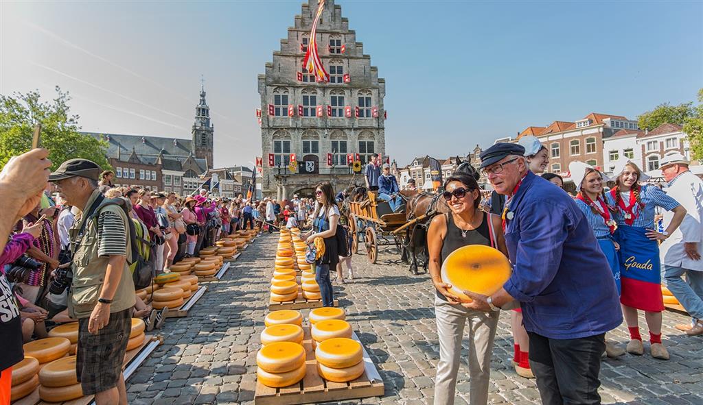 Tới Gouda đừng quên thưởng thức phô mai Tới Gouda đừng quên thưởng thức phô mai