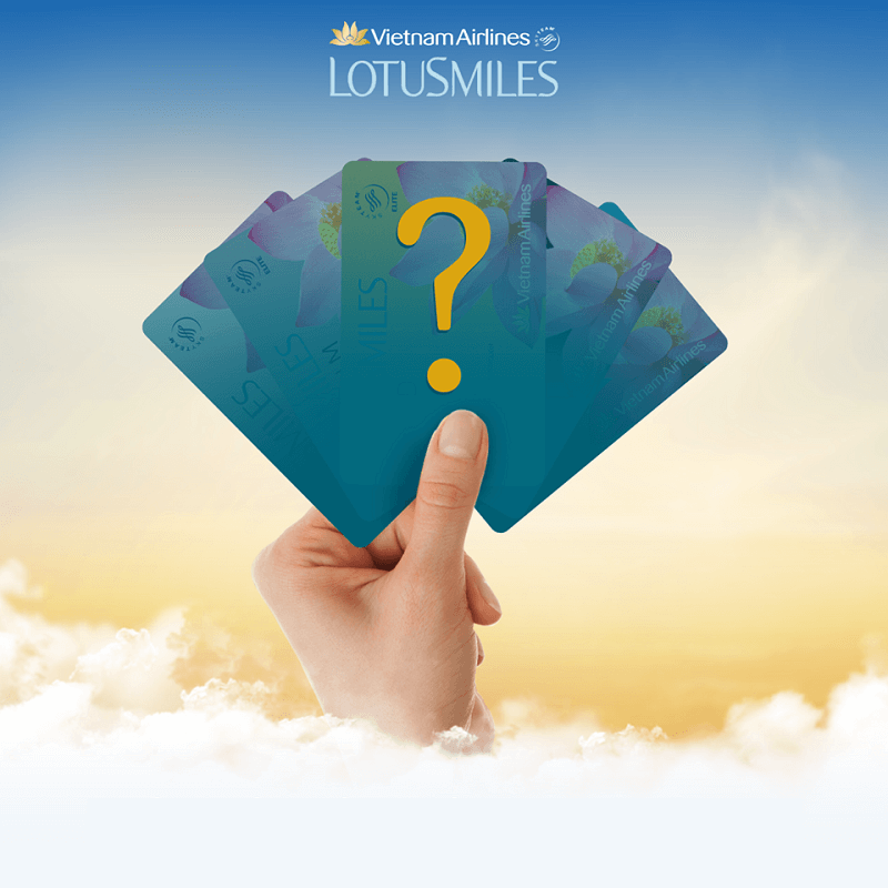 Bông Sen Vàng là chương trình như thế nào ?