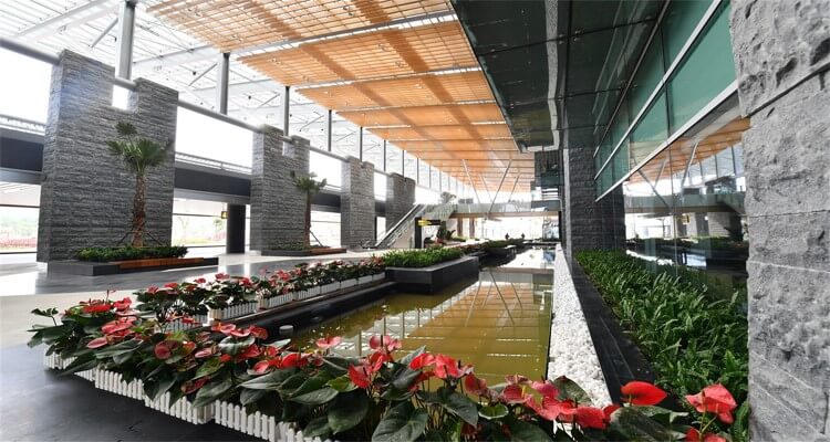 Hồ cá trong sảnh sân bay Hồ cá trong sảnh sân bay