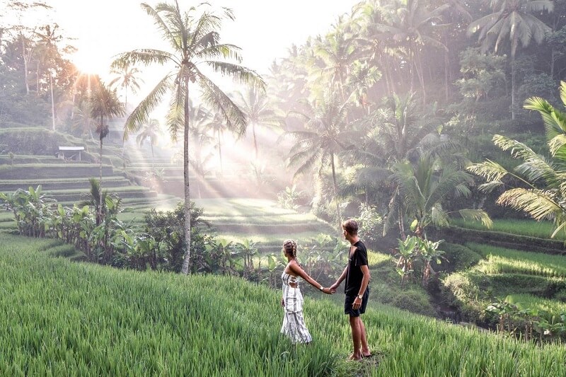Ruộng bậc thang Tegalalang Ruộng bậc thang Tegalalang