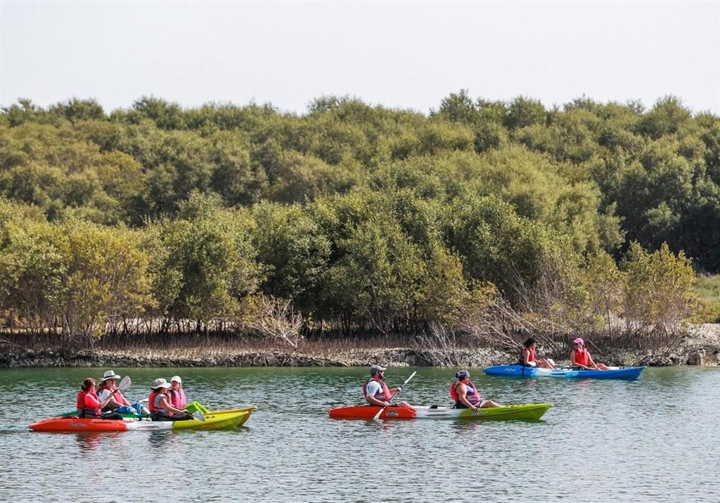 Vườn quốc gia Mangroves